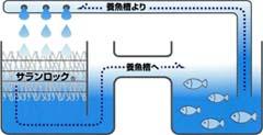 循環濾過用材としての使用例