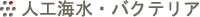 lHCEoNeA
